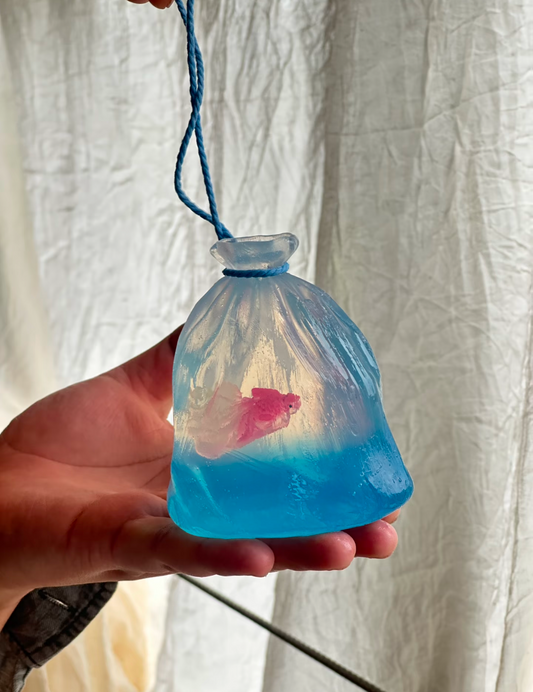 Dreamcore Goldfish Soap Pouch