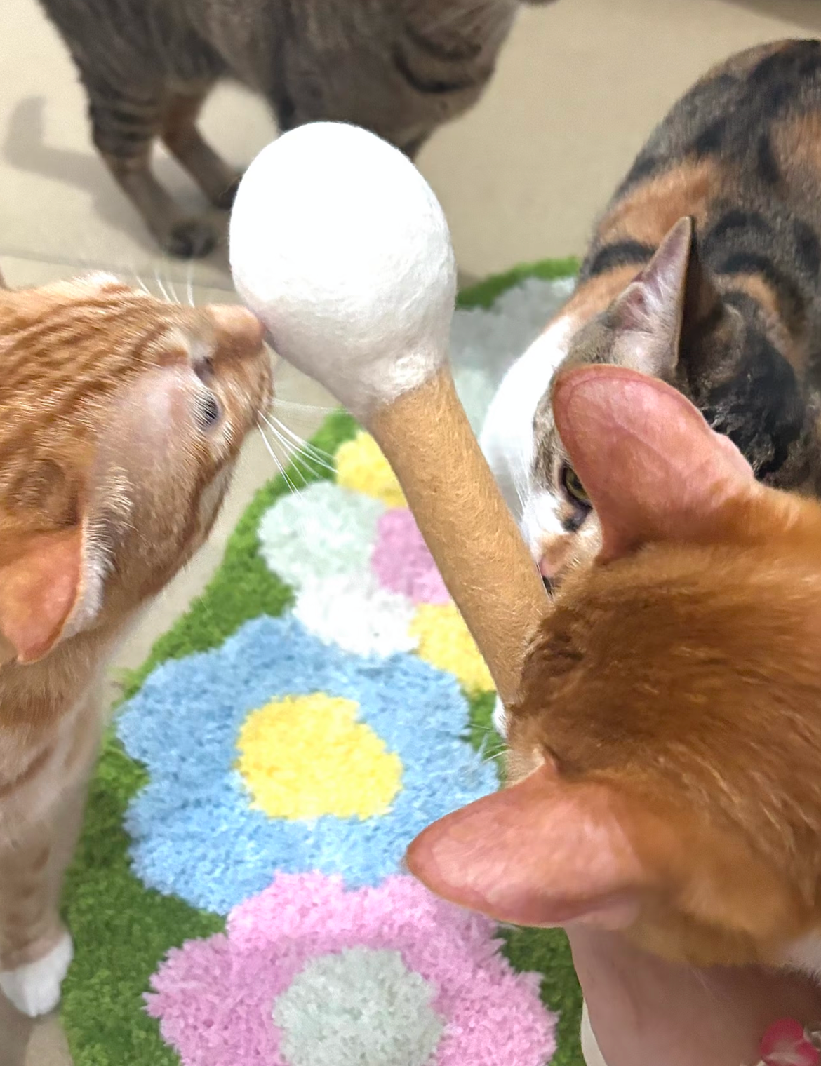 Wool-felted cotton swab shaped cat toy, by CrazyPet